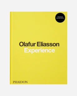 Olafur Eliasson, Experience