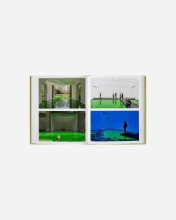 Olafur Eliasson, Experience
