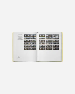 Olafur Eliasson, Experience