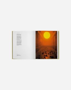 Olafur Eliasson, Experience