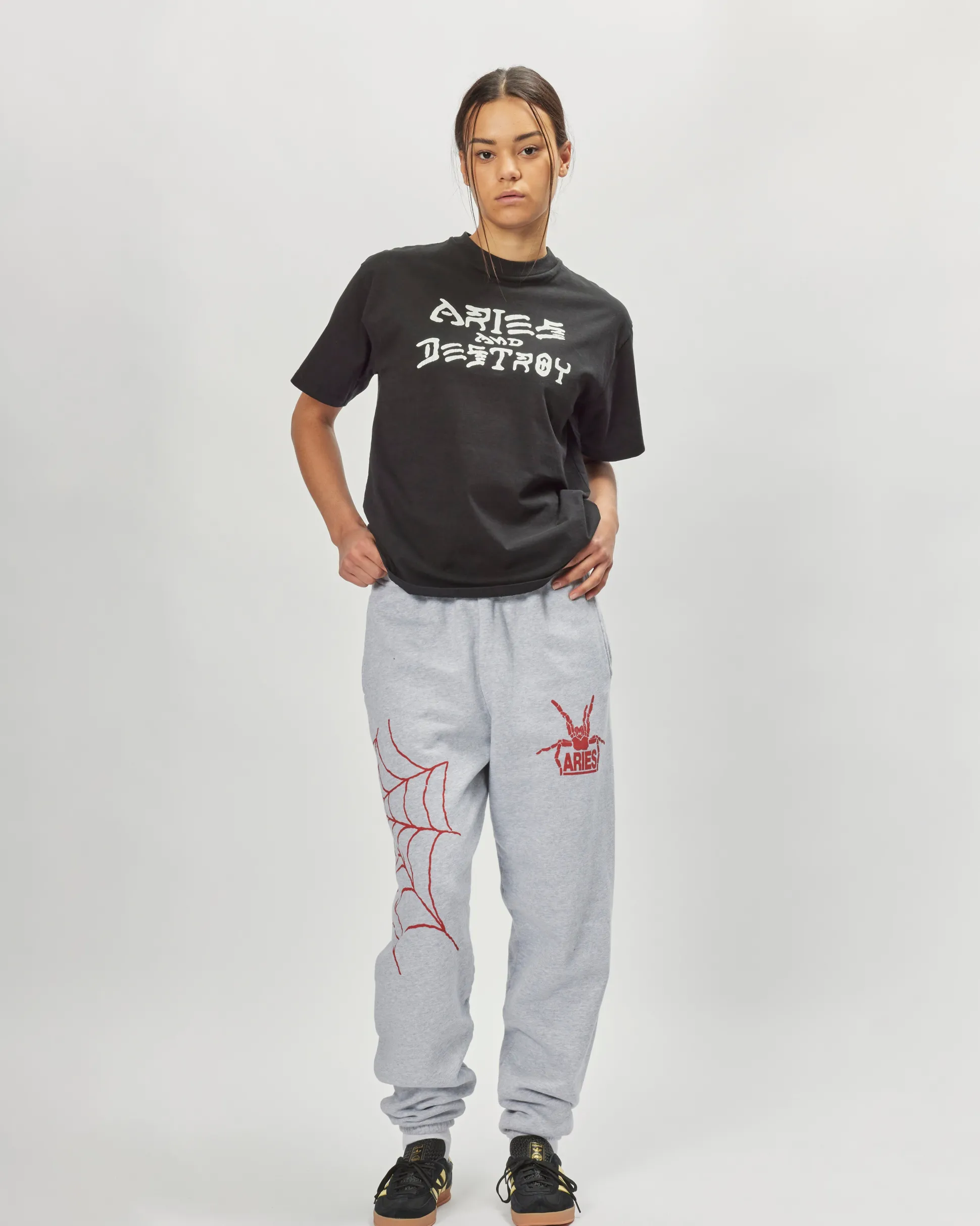 Vintage Aries and Destroy T-shirt